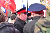 В Туле прошел митинг в поддержку Крыма, Фото: 11