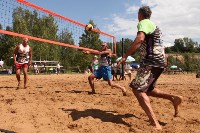 Пляжный волейбол в Барсуках, Фото: 70