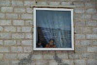 В Плеханово начали сносить дома в цыганском таборе, Фото: 67