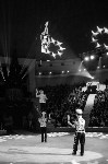 "Чудеса под Новый год" в Тульском цирке, Фото: 17