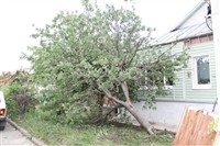 Последствия урагана в Ефремове., Фото: 39