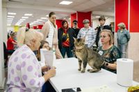 Выставка кошек в Туле, Фото: 75