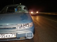 На Щекинском шоссе в Туле насмерть сбили пешехода, Фото: 4
