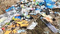 Поселок Славный в Тульской области зарастает мусором, Фото: 21