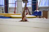 Спортивная гимнастика в Туле 3.12, Фото: 138