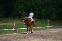 В Ясной поляне стартовал турнир по конному спорту, Фото: 132