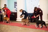 Выставка собак в ДК "Косогорец", Фото: 74