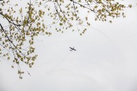 Авиашоу над Центральным парком Тулы, Фото: 6