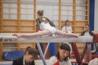 Первенство ЦФО по спортивной гимнастике, Фото: 162