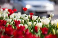 В Туле расцвели тюльпаны, Фото: 19