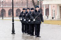 День полиции в Тульском кремле. 10 ноября 2015, Фото: 3