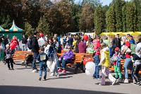 Семейный фестиваль «Школодром-2022» в Центральном парке Тулы: большой фоторепортаж и видео, Фото: 4