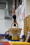 Спортивная гимнастика в Туле 3.12, Фото: 19