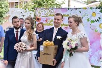 Единая регистрация брака в Тульском кремле, Фото: 4