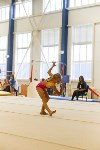Спортивная гимнастика в Туле 3.12, Фото: 98