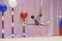 Всероссийский турнир по художественной гимнастике, Фото: 109