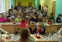Тульская областная федерация шахмат, Фото: 3