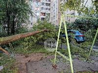 Поваленные деревья на ул. Пузакова, Фото: 13