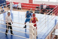В Тульской области проходит областное первенство по боксу, Фото: 102