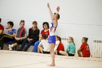 Спортивная гимнастика в Туле 3.12, Фото: 23