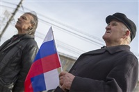 Митинг в Туле в поддержку Крыма, Фото: 49