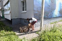 Граффити в Иншинке. Айвазовский. , Фото: 4