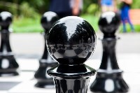 "Большие шахматы" в Центральном парке, Фото: 44