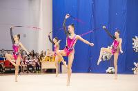 Соревнования по художественной гимнастике на призы благотворительного фонда «Земляки», Фото: 28