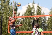 Пляжный волейбол в Барсуках, Фото: 84