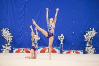 Соревнования по художественной гимнастике на призы благотворительного фонда «Земляки», Фото: 108