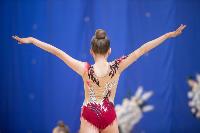 Соревнования по художественной гимнастике на призы благотворительного фонда «Земляки», Фото: 67