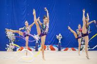 Соревнования по художественной гимнастике на призы благотворительного фонда «Земляки», Фото: 188