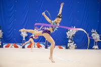 Соревнования по художественной гимнастике на призы благотворительного фонда «Земляки», Фото: 192