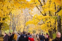 Золотая осень в Ясной Поляне, Фото: 118