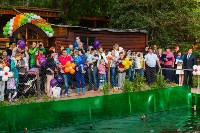 Запуск лебедей в верхний пруд Центрального парка Тулы, Фото: 16