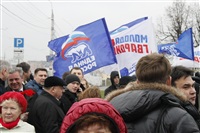 Митинг «Единой России» на День народного единства, Фото: 9