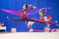 Соревнования по художественной гимнастике на призы благотворительного фонда «Земляки», Фото: 183