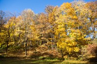 Золотая осень в Ясной Поляне, Фото: 26