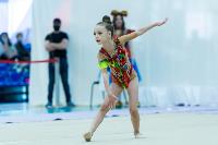 Тула провела крупный турнир по художественной гимнастике, Фото: 21