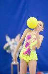 Соревнования по художественной гимнастике на призы благотворительного фонда «Земляки», Фото: 141