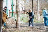Посадка деревьев во дворе на ул. Максимовского, 23, Фото: 35