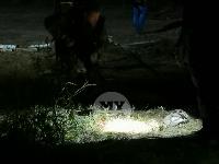Убийство ребенка в Тульской области, Фото: 8