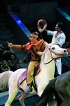 Цирк «Вива, Зорро!» в Туле , Фото: 82