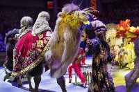 Грандиозное цирковое шоу «Песчаная сказка» впервые в Туле!, Фото: 1