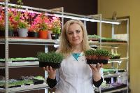 Елена Киеня выращивает микрозелень, Фото: 35