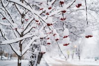 Снегопад в Туле 11 января, Фото: 50