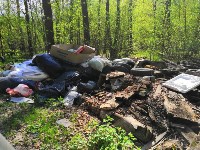 Туляки: Щегловская засека превращается в свалку мусора, Фото: 9