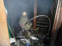 В Туле пожарные эвакуировали жителей подъезда пятиэтажки, Фото: 5