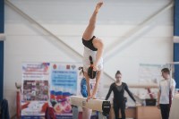 Первенство ЦФО по спортивной гимнастике среди юниорок, Фото: 22