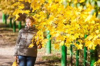 Золотая осень в Ясной Поляне, Фото: 68